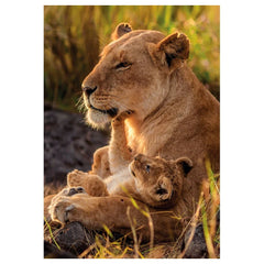 Clementoni - Feline Love Puzzle - Puzzles - Age +12 - 500 Pieces - 27635615