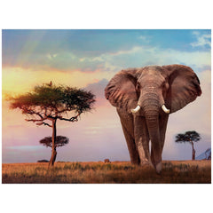 Clementoni High Quality Collection - African Sunset 500 Pcs Puzzles