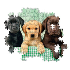 Clementoni Collection de Haute Qualité - Puzzle de 1000 Pcs Trois Chiots Labradors