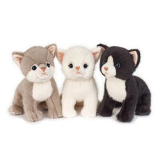 Fyrry Cat Puppy 25 cm Plush - Assorted