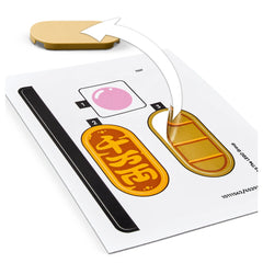 LEGO - Seasons - Lucky Cat - Construction Set Toys - 40813