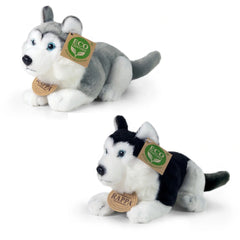 Rappa - Chiens Husky en peluche assortis 17 cm ÉCO-RESPONSABLE - Animaux en peluche