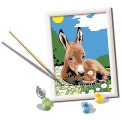 Ravensburger - Creart Little Donkey - Painting By Numbers - Arts & Crafts