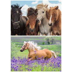 Ravensburger - Amour des Chevaux - 2x24 Pièces - Puzzles