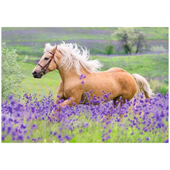 Ravensburger - Amour des Chevaux - 2x24 Pièces - Puzzles