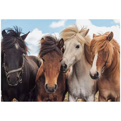 Ravensburger - Amour des Chevaux - 2x24 Pièces - Puzzles