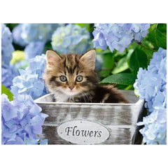 Ravensburger - Petit Chat - 300 Pièces - Puzzles