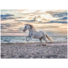 Ravensburger - Puzzle 500 Pièces Cheval sur Plage - Puzzles