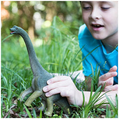 Schleich - Dinosaurs - Brachiosaurus - Action & Toy Figures - 14581