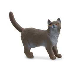 Schleich - Farm World - Chat British Shorthair - Figurines d'action et de jouets - 13973