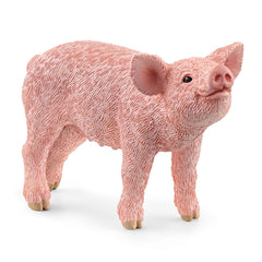 Schleich - Farm World - Piglet - Action & Toy Figures - 13934