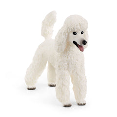 Schleich - Farm World - Poodle - Action & Toy Figures - 13917