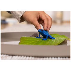 Schleich - Wild Life - Blue Arrow Frog - Action & Toy Figures - 14864