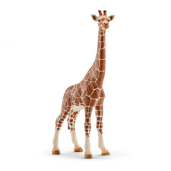 Schleich - Wild Life - Girafe Femelle - Figurines d'Action et de Jouets - 14750