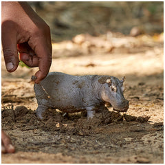 Schleich - Wild Life - Hippopotamus - Action & Toy Figures - 14814