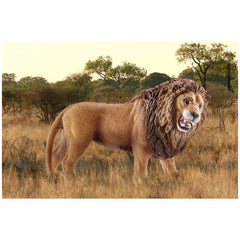 Schleich - Wild Life - Lion Rugissant - Figurines d'Action et de Jouets - 14726