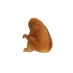 Schleich - Wild Life - Slow Loris - Action & Toy Figures - 14852