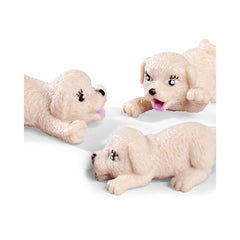 Simba - Poupées - Evi Love Docteur Chiens - Coffret vétérinaire - 3 Ans+