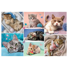Trefl - Puzzle de 100 pièces - Puzzles - 5 - TRF16420