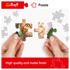 Trefl - Puzzle Jigsaw 1000 Pièces - Puzzles - 14+ - TRF10468