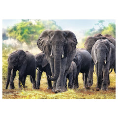 Trefl - Puzzle 1000 Pièces - Puzzles - 14 - Activité Amusante - TRF10442