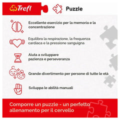 Trefl - Puzzle de 1000 Pièces - Puzzles - 14 - Central Park - TRF10467