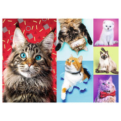 Trefl - 1000 Piece Puzzle - Happy Cats - Puzzles Age +14 - TRF10591