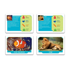 Clementoni - Animali Da Record Card Games - Italian Edition