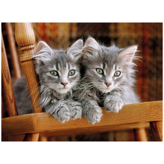Clementoni High Quality Collection - Kittens 500 Pcs Puzzle