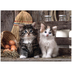 Clementoni Collection de Haute Qualité - Jolis Chatons Puzzle 1000 Pcs