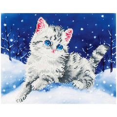 Kitten in the snow with white and gray fur, blue eyes, pink nose, and pink outlined ears, centered on a solid blue background