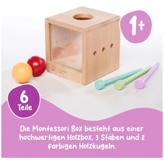 Eichhorn Montessori interactive educational toy set featuring a wooden sorting box and colorful cylinders for hands-on learni