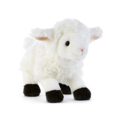 Kirack the Little Lamb plush toy, 21 cm, features a white body, black feet, nose, eyes, and a fluffy tail.