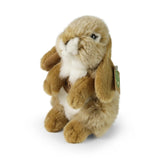 Plush beige hare stuffed animal with brown and white fur, large ears, and a white patch on its chest, sitting upright.