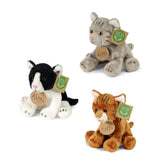 Plush cats assortment in black and white, gray, and brown, featuring eco-friendly tags with "RAPPA" logo.