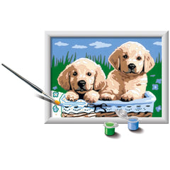 Ravensburger - Creart Chats et Chiens Endormis - Peinture par Numéros - Arts et Loisirs