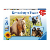 Ravensburger - Jolis Poneys - 3x49 Pièces - Puzzle