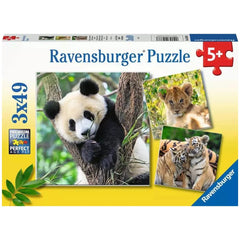 Ravensburger - Panda, Tigre et Lion - 3x49 Pièces - Puzzles