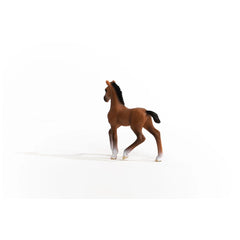 Schleich - Horse Club - Poulain Oldenburg - Figurines d'action et de jouets - 13947