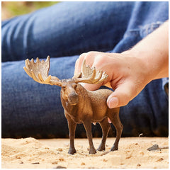 Schleich - Wild Life - Bull Moose - Action & Toy Figures - 14781