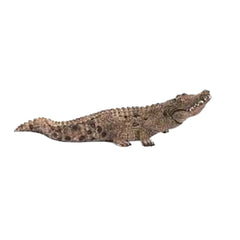 Schleich - Wild Life - Crocodile - Figurines d'action et de jouets - 14736