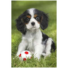 SCHMIDT SPIELE - Mes plus mignons animaux bébés 48 pièces - Puzzles