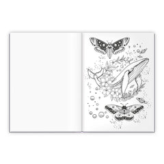 Trötsch Verlag - Livres - Livre de coloriage Traumwelten 6 Ans+ - Détente