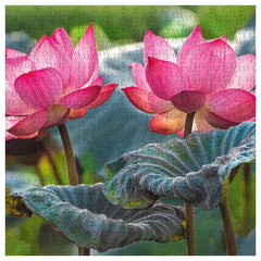 CherryPazzi - Pink Lotus Flowers - 500 Pcs Puzzle Age: +12 - CRP20012