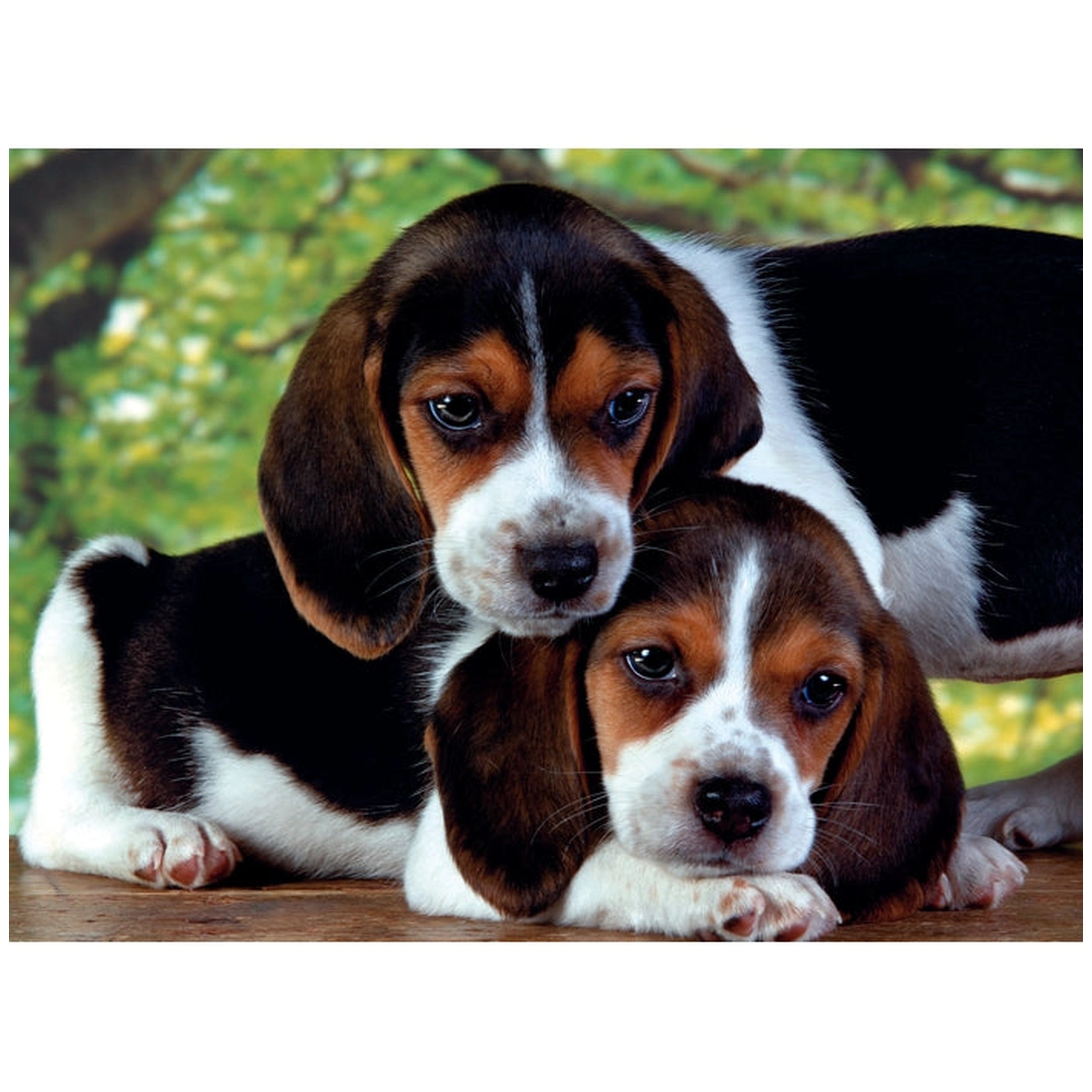 Clementoni High Quality Collection - Close Together 500 Pcs Puzzle