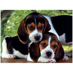 Clementoni High Quality Collection - Close Together 500 Pcs Puzzle