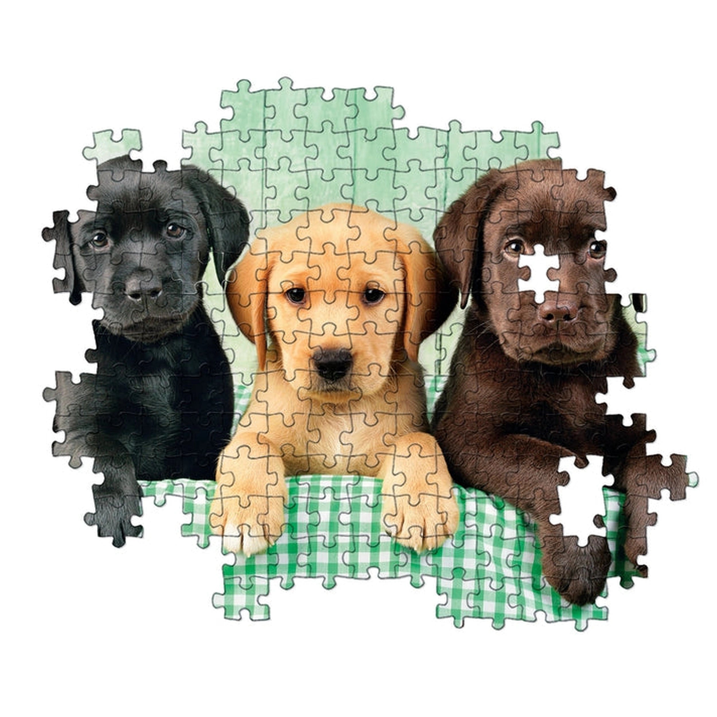 Clementoni Collection de Haute Qualité - Puzzle de 1000 Pcs Trois Chiots Labradors