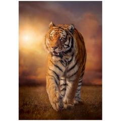 Clementoni High Quality Collection - Tiger 1500 Pcs Puzzle