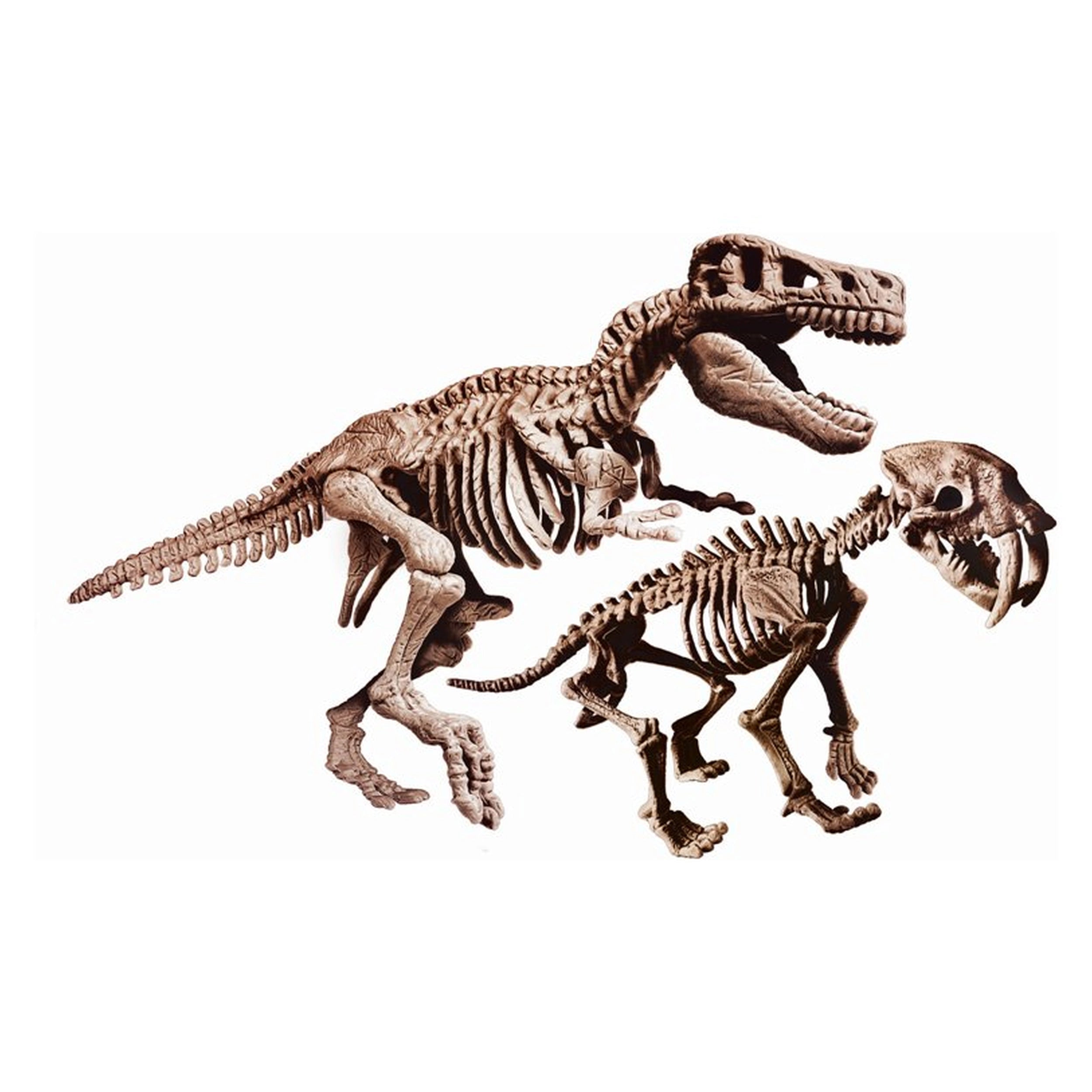 Clementoni Scienza E Gioco Lab - Archeogiocando - 2 In 1 T-Rex And Smilodon Toy Playsets