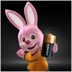 Duracell Plus Power Type C Alkaline Batteries 1.5 V 2 Pc(S)